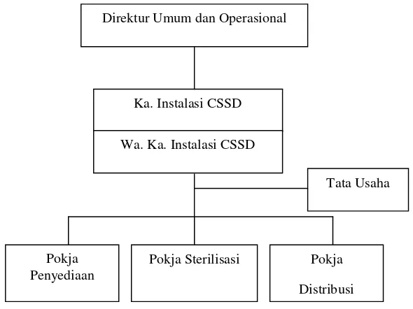 Gambar 3.2Struktur Organisasi Instalasi CSSD RSUP H. Adam MalikMedan