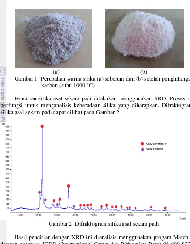 Gambar 1  Perubahan warna silika (a) sebelum dan (b) setelah penghilangan 