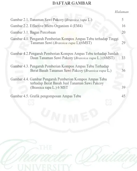 Gambar 2.1. Tanaman Sawi Pakcoy (Brassica rapa L.) 