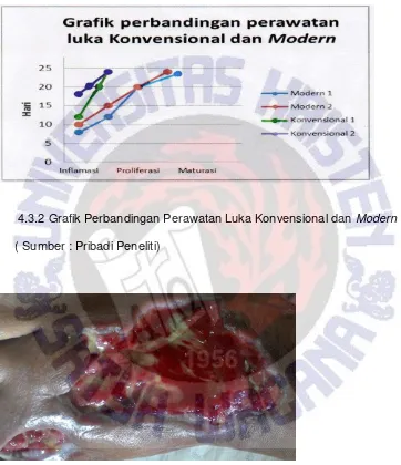 Gambar 4.3.3 Luka dengan perawatan luka modern hari ke 20 