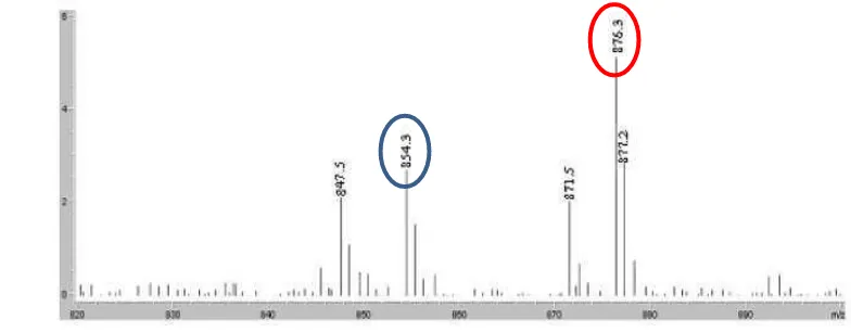Gambar 6. Spektrum LC-MS massa senyawa yang terkandung dalam ekstrak kapang Taxus chinensis  (waktu retensi : 16.3 ±0.1 menit) Lingkaran biru adalah Taksol (M+ H+) dan lingkaran merah adalah Taksol (M+ Na+) (Guo et al.2006)
