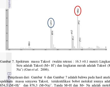 Gambar 7. Spektrum  massa Taksol  (waktu retensi : 16.3 ±0.1 menit) Lingkaran 