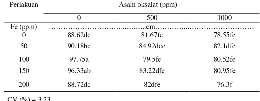 Tabel 2. Pengaruh Kombinasi Asam Oksalat  dan Fe terhadap Tinggi Tanaman pada Endoaquert Kromik   