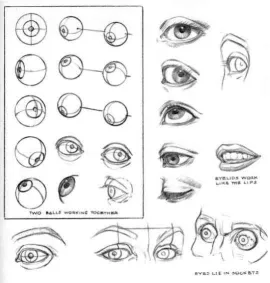 Gambar 6. Anatomi Mata 