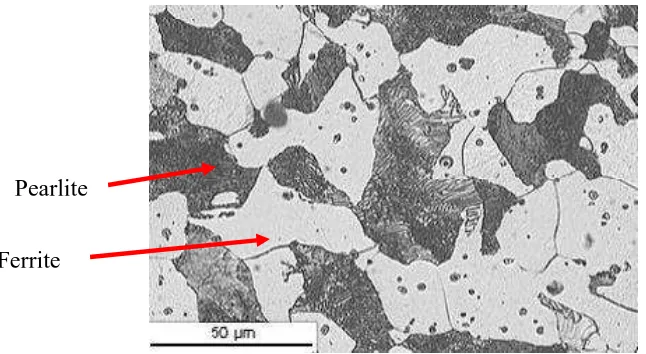 Figure 2.1: Microstructure of Mild Steel (Anonymous, 2000). 
