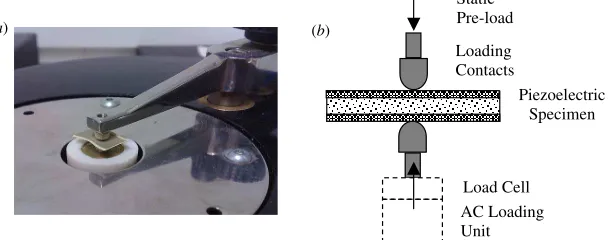 Figure 8. Piezoelectric charge coefﬁcient950samples with a co-ﬁred proﬁle at peak temperatures of 850 d33 decay over 8 h for ◦C and ◦C.