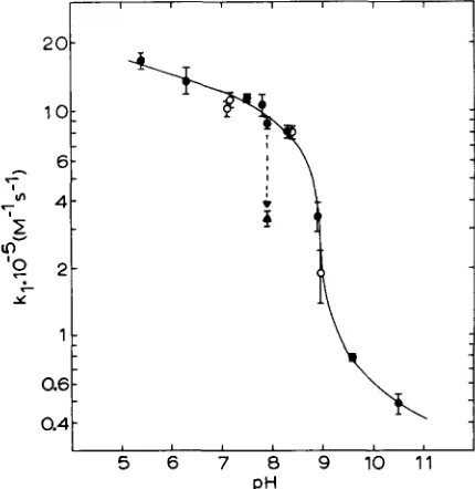 Fig. 3. Dependence of the apparent first-order rate constant on the concentration of ferricytochrome 