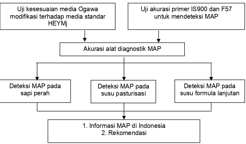 Gambar 1 Tahapan penelitian deteksi Mycobacterium avium subspesies 