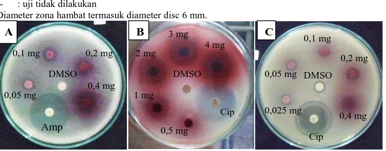 Tabel 1. Hasil uji aktivitas antibakteri ekstrak etanol kayu secang (Caesalpinia sappan L.) terhadap S