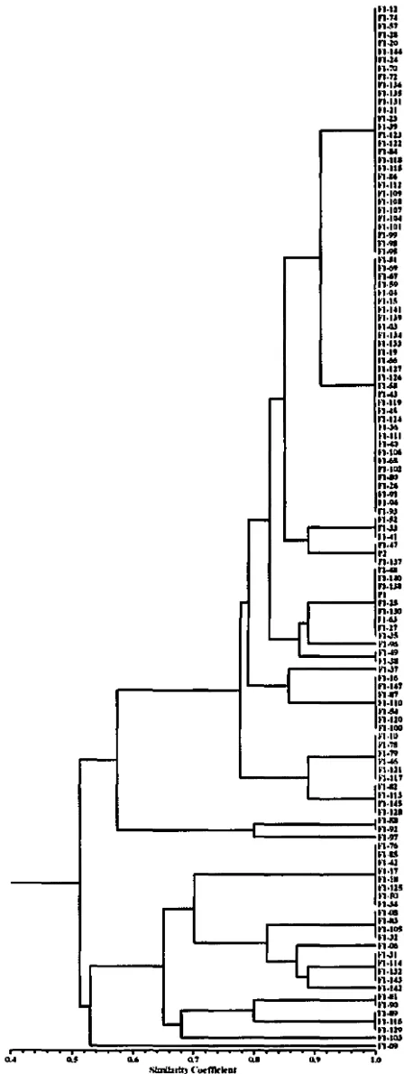 Figure 1. Cluster analysis based on morphological cbamc:tersofTSW 1102 population. 