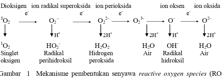 Gambar 1:  Dioksigen   ion radikal superoksida   ion perioksida                  ion oksen      ion oksida 