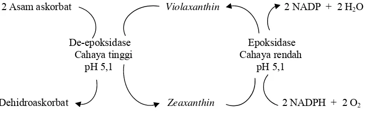 Gambar 2  Mekanisme penyelamatan terhadap cekaman oksidatif oleh asam askorbat (ASA) (Apel & Hirt 2004)
