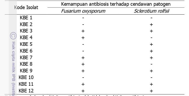 Tabel 2 Uji antibiosis in vitro konsorsium bakteri endofit dengan cendawan patogen 