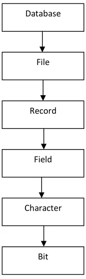 Gambar 2.4 Hierarki basis data 
