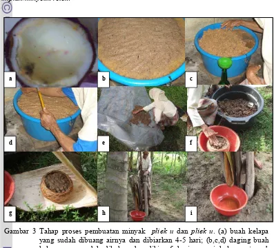 Gambar 3 Tahap proses pembuatan minyak  pliek u dan pliek u. (a) buah kelapa 