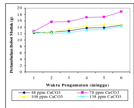 Gambar 21. Bobot mutlak rata-rata ikan lalawak (Barbodes sp.)                                     per perlakuan (alkalinitas) setiap waktu pengamatan 