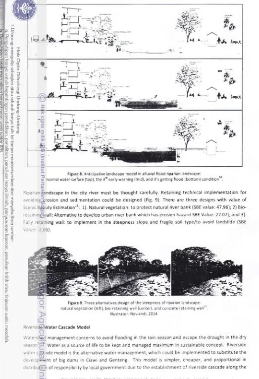 Figure 8. ,qnticipative landscape model in alluvial flood riparian landscape: