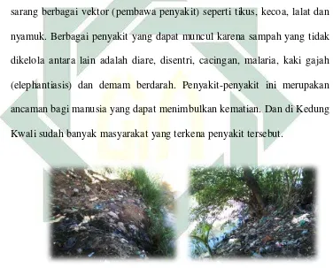 Gambar 1.6 Sampah dapat mengakibatkan pendangkalan sungai 
