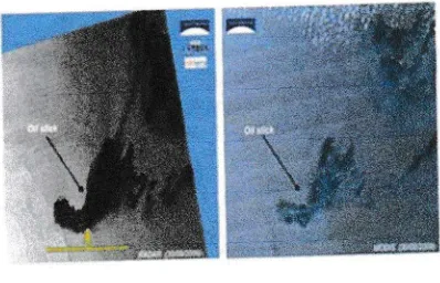 Gambar 2. Oil spill diTimor Gab dari citradan MODIS (30/08f200S