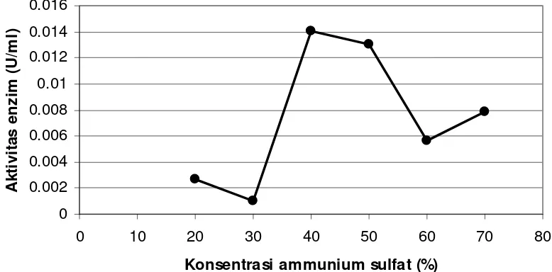 Gambar 2. Optimasi aktivitas enzim  crude ekskretori/sekretori stadium L3A. galli  dengan pengendapan ammunium sulfat  