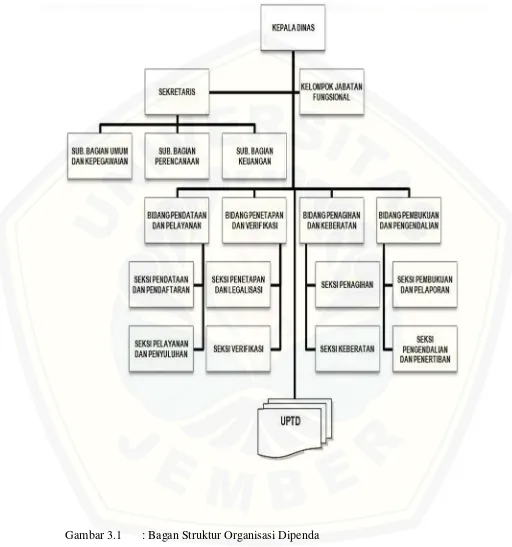 Gambar 3.1: Bagan Struktur Organisasi Dipenda