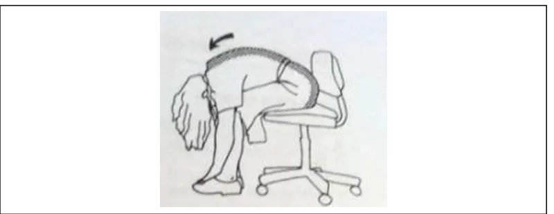 Gambar 2.8:Bentuk Peregangan Otot Punggung Bawah Sumber: (Bob Anderson, 2010:115) 