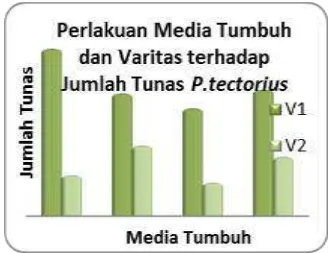 Gambar 4 . Pengaruh Perlakuan Media Tumbuh dan Varietas terhadap Jumlah Tunas P.tectorius