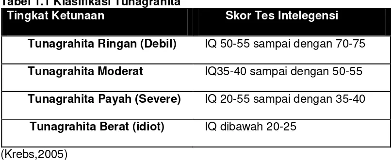 Tabel 1.1 Klasifikasi Tunagrahita 