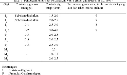 Tabel 1. Pendugaan umur sapi berdasarkan waktu erupsi gigi (Fraser et al., 1991) 
