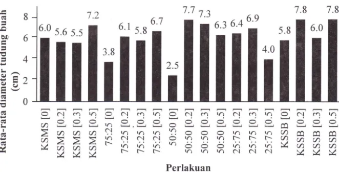 Gambar I Perbandingan rata-rata diameter tudung buah jamur tiram putih. Perlakuan KSSB adalah kontrol SSB (substrat sengon baru)