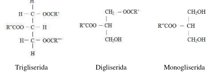 Gambar 2.1 Struktur Gliserida 