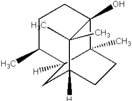 Gambar 1.1 Struktur Patchouli Alkohol 