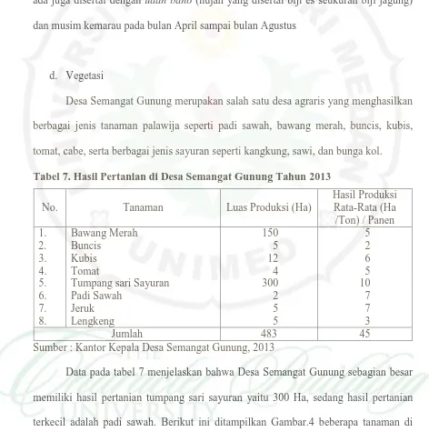 Tabel 7. Hasil Pertanian di Desa Semangat Gunung Tahun 2013 