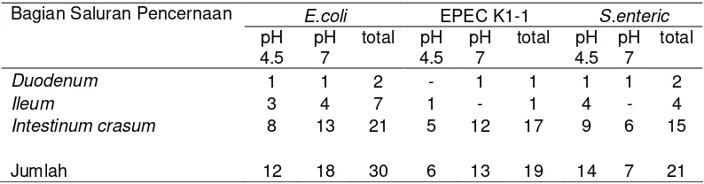 Tabel 3 Aktivitas penghambatan bakteri asal saluran pencernaan ayam broilerterhadap E.coli, EPEC K1-1,Salmonella enteric