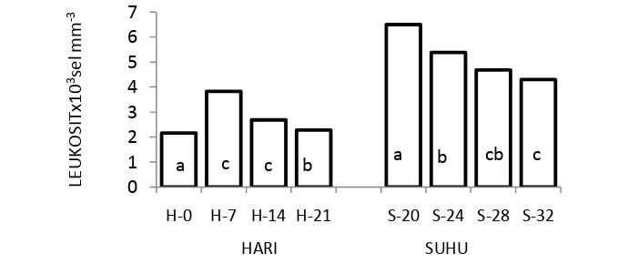 Gambar 14. Total eritrosit ikan mas hasil interaksi pada level hari dan suhu                media pemeliharaan yang berbeda 