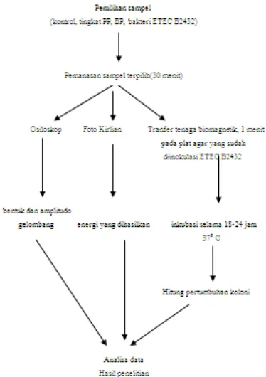 Gambar 4.1.  Bentuk Gelombang, dari kelompok kontrol, PP, dan BP . A, kontrol; B, PP; dan C, BP