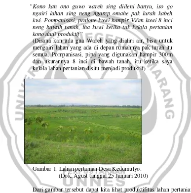 Gambar 1. Lahan pertanian Desa Kedumulyo. 