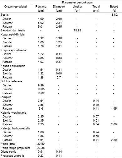 Tabel 2 Morfometri organ reproduksi muncak jantan pada periode ranggah keras setelah difiksasi dengan larutan paraformaldehid 4% 