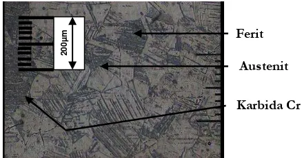 Gambar 11. Foto struktur mikro daerah HAZ dengan 100 A Udara (200X) 