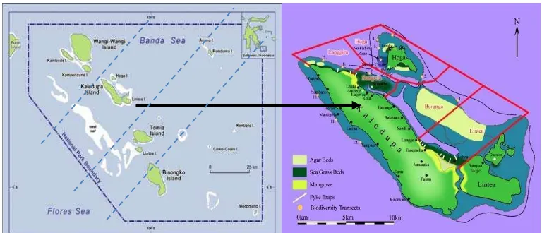 Gambar 4  Peta Kabupaten Wakatobi dan Gugus Pulau Kaledupa 