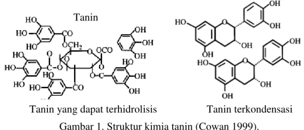Gambar 1. Struktur kimia tanin (Cowan 1999). 