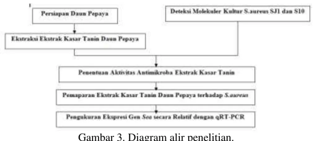 Gambar 3. Diagram alir penelitian. 