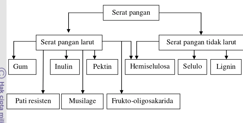 Gambar 5. Klasifikasi serat pangan 