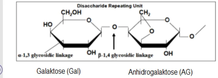 Gambar  9. Rangkaian monomer galaktosa dan anhidrogalaktose pada karagenan  
