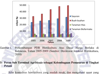 Gambar 1.   Perkembangan PDB Hortikultura Atas Dasar Harga Berlaku di Indonesia, Tahun 2005-2009 (Sumber: Direktorat Jenderal Hortikultura, 