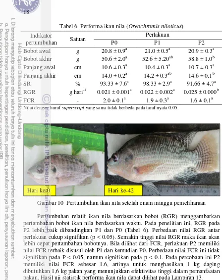 Tabel 6  Performa ikan nila (Oreochromis niloticus) 