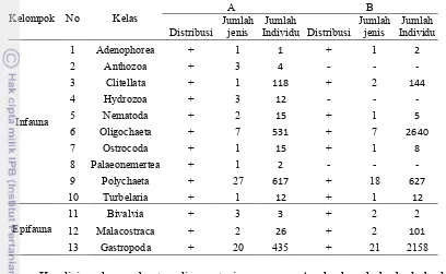 Tabel 7 Distribusi makrozoobentos dilokasi penelitian 
