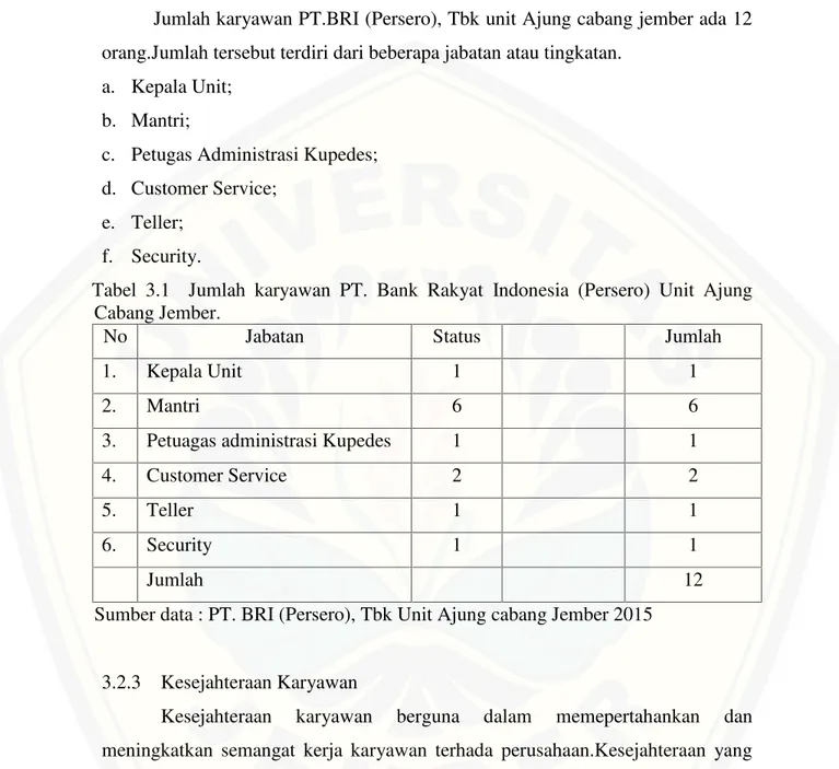Tabel 3.1 Jumlah  karyawan  PT.  Bank  Rakyat Indonesia  (Persero)  Unit  Ajung Cabang Jember.