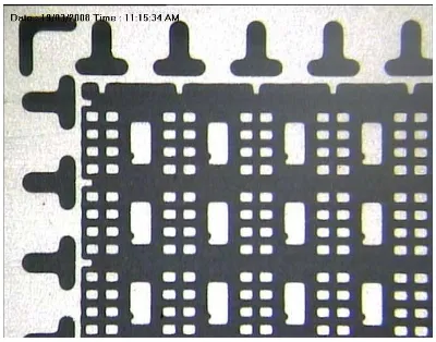 Figure 1.3 Close view of chip on strip 