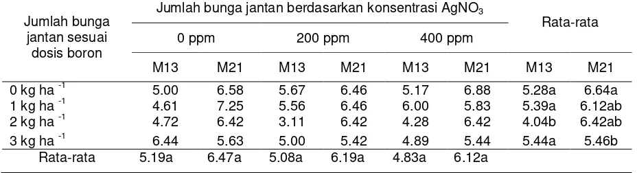 Tabel 1. Umur berbunga (50%) tanaman M13 dan M21 berdasarkan perlakuan dosis boron     dan konsetrasi AgNO3 